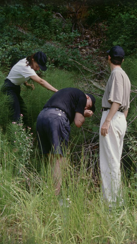 Weekend Art: Hallelujah the Hill, 1995–200