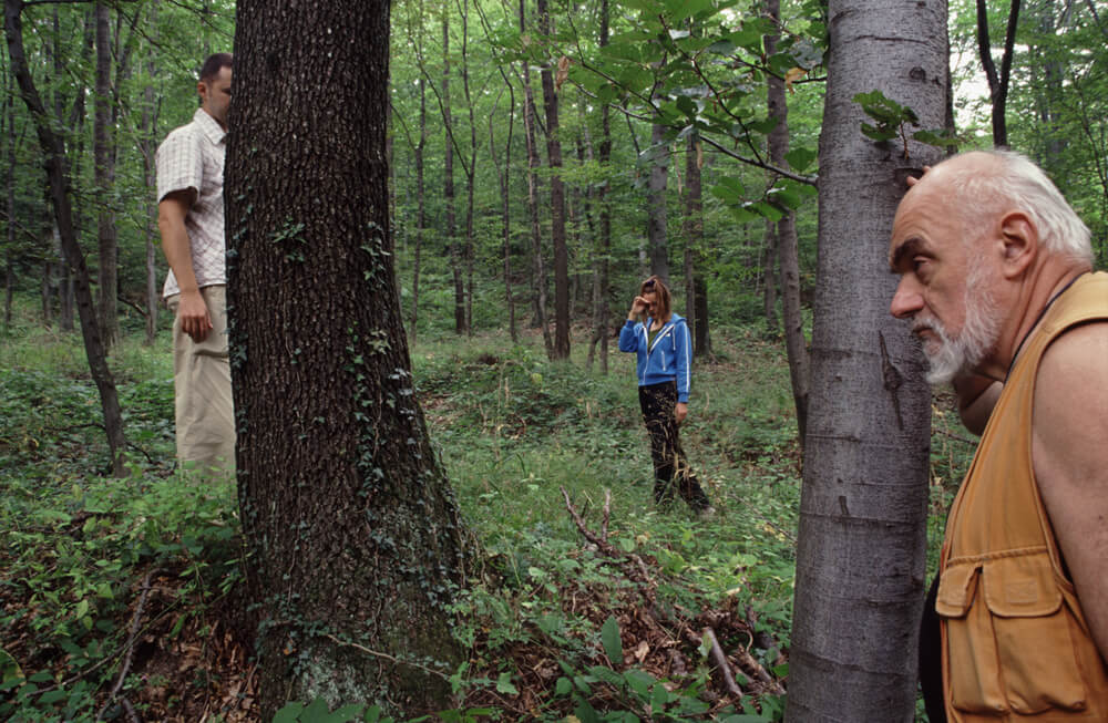 Weekend Art: Hallelujah the Hill, 1995–200
