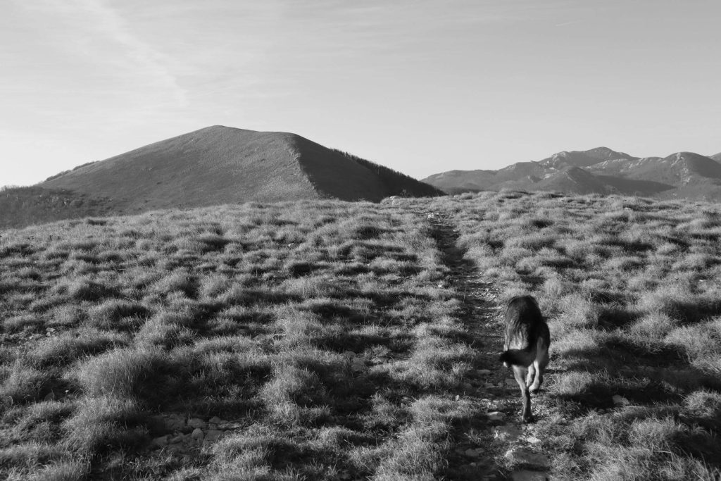 Velebit, 2024