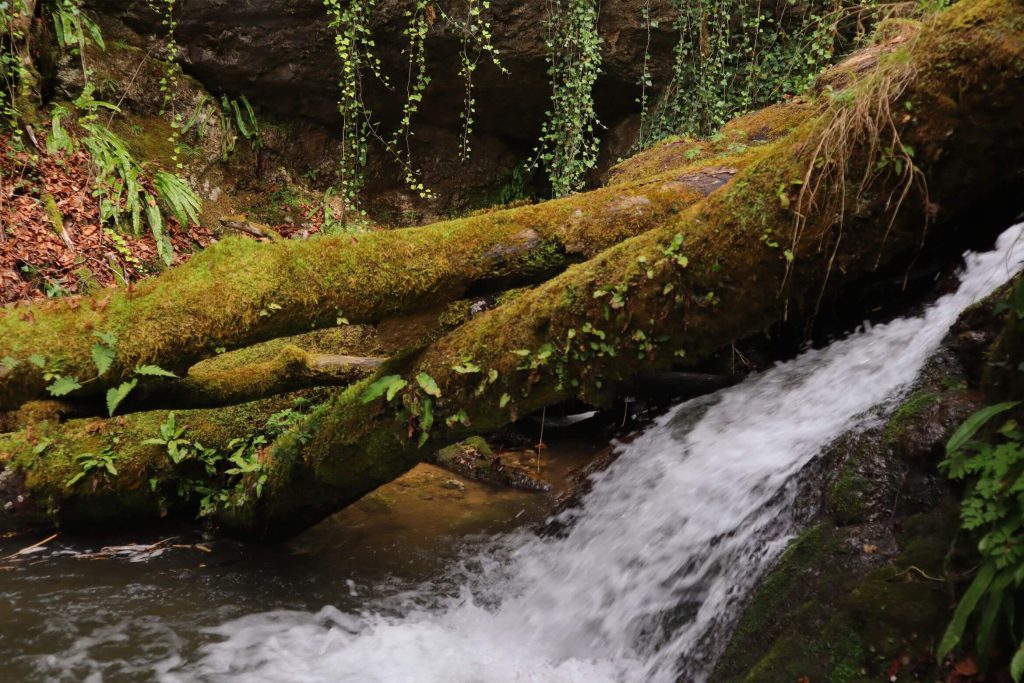 Slapnica Canyon