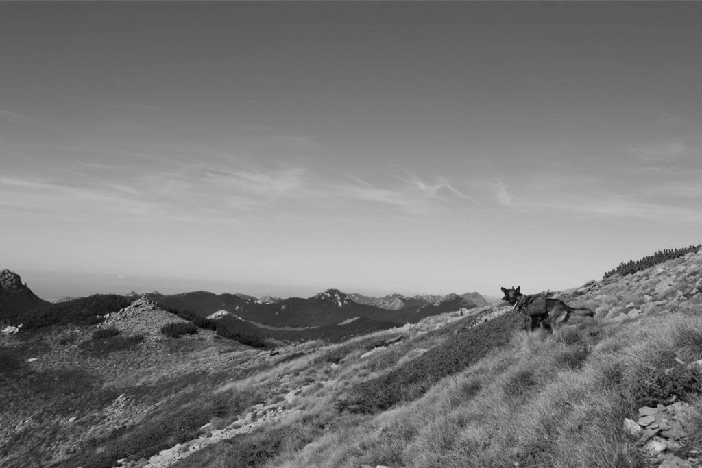 Velebit, 2026