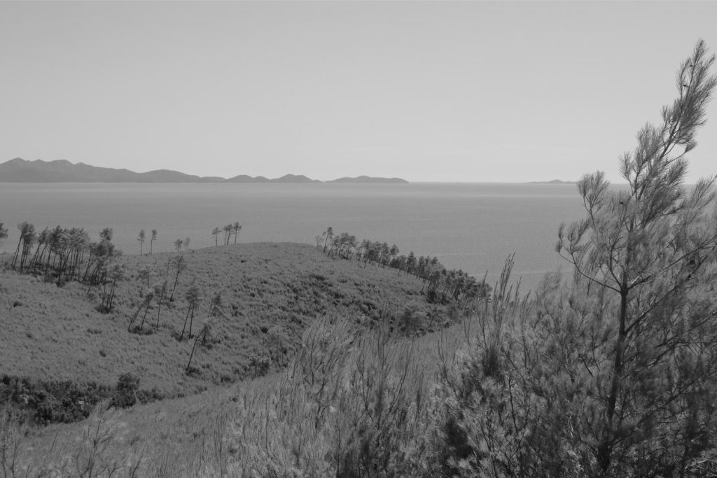 Korčula_2025